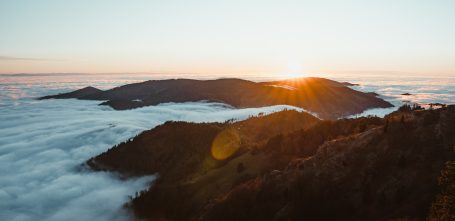 Erinnerungen aus dem Schwarzwald